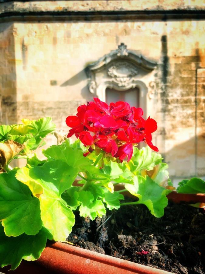 Bed and Breakfast Palazzo Salia Lecce Exterior foto
